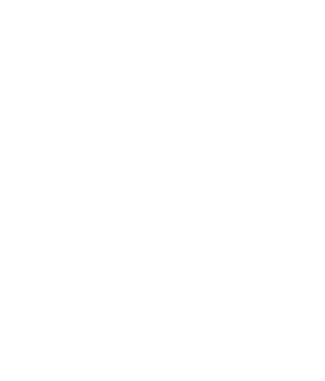 FFIB Centenario